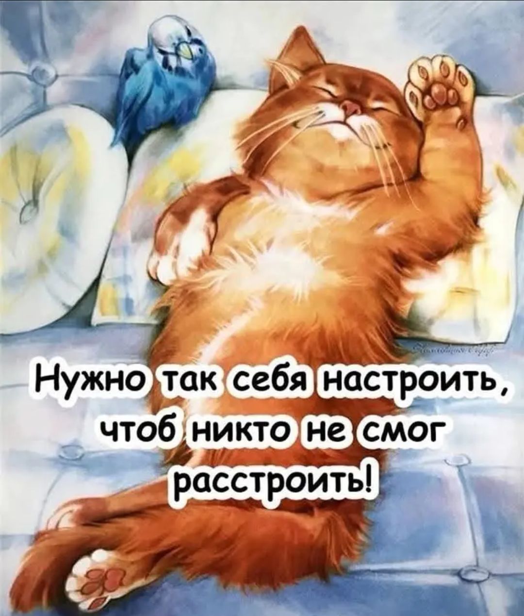 Нужно так себя настроить, чтобы никто не смог расстроить!