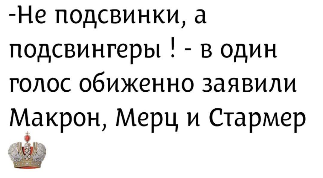 -Не подсвинки, а подсвингеры ! - в один голос обиженно заявили Макрон, Мерц и Стармер