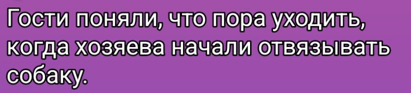 Гости поняли, что пора уходить, когда хозяева начали отвязывать собаку.