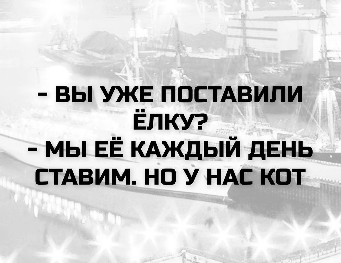 - Вы уже поставили ёлку? - Мы её каждый день ставим. Но у нас кот