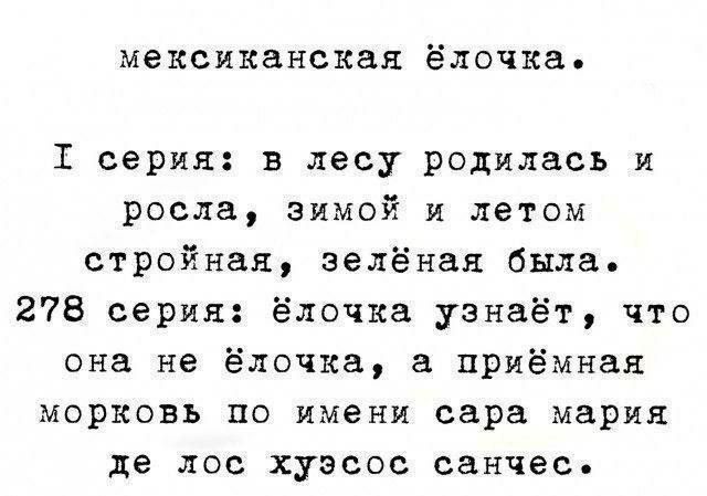 мексиканская ёлочка.

I серия: в лесу родилась и росла, зимой и летом стройная, зелёная была.
278 серия: ёлочка узнаёт, что она не ёлочка, а приёмная морковь по имени сара мария де лос хуэсос санчес.