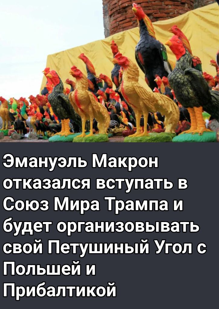 Эмануэль Макрон отказался вступать в Союз Мира Трамп и будет организовывать свой Петушиный Угол с Польшей и Прибалтикой