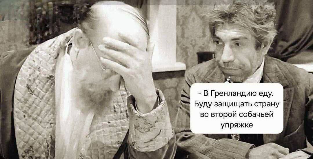 В Гренландию еду. Буду защищать страну во второй собачьей упряжке