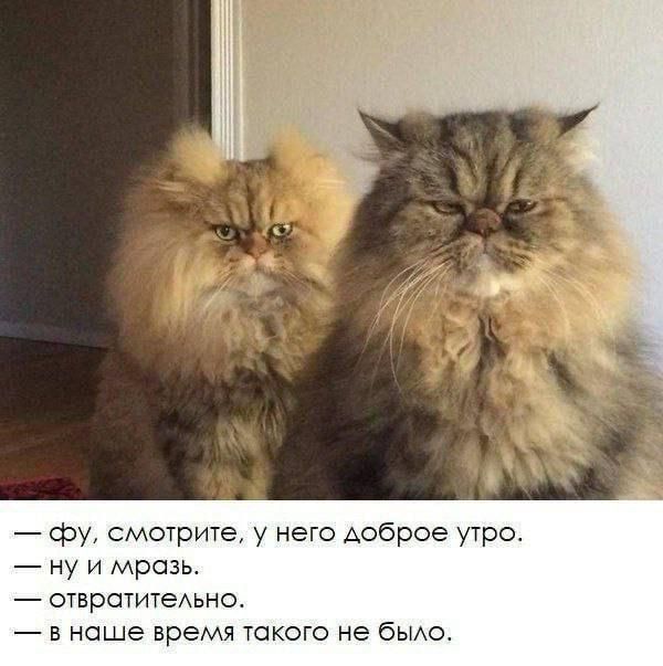 — фу, смотрите, у него доброе утро. 
— ну и мразь. 
— отвратительно. 
— в наше время такого не было.