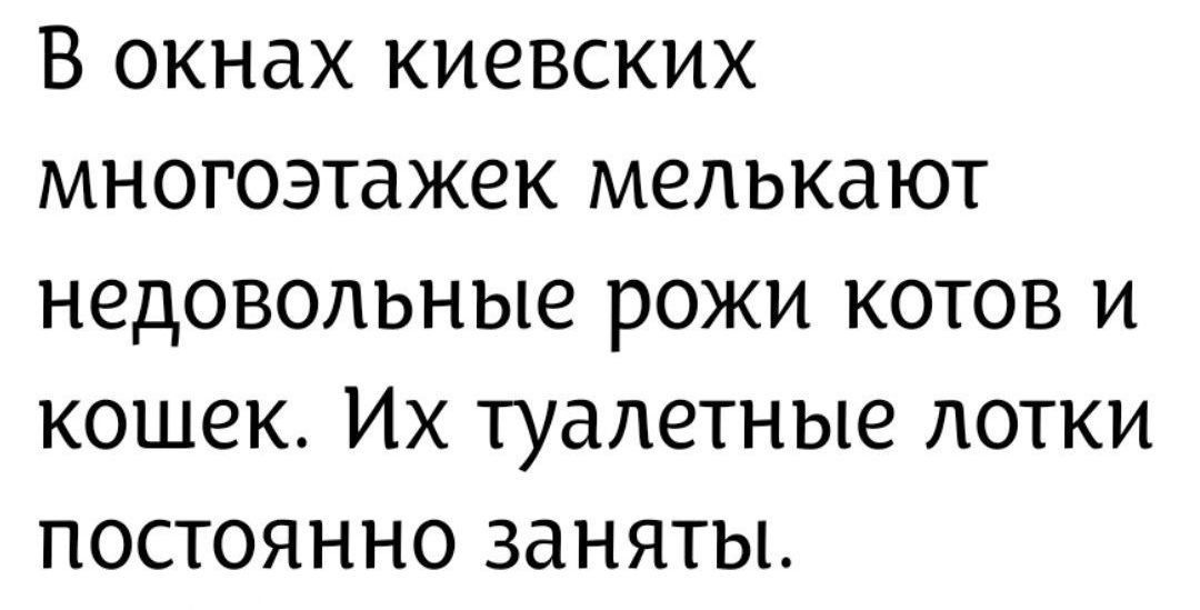 В окнах киевских многоэтажек мелькают недовольные рожа котов и кошек. Их туалетные лотки постоянно заняты.