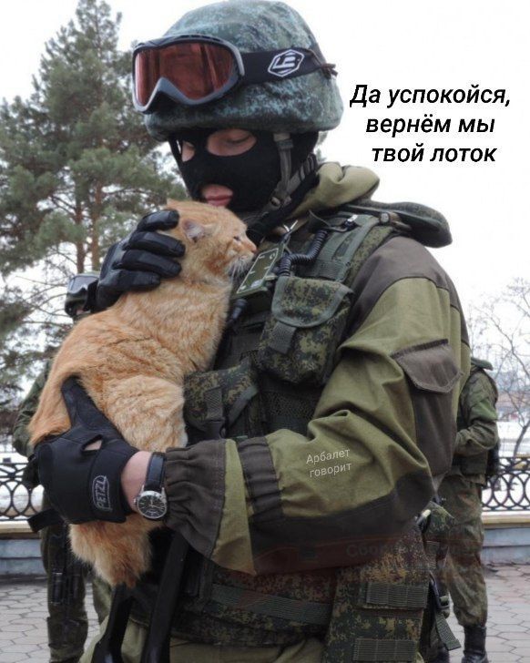 Да успокойся, вернём мы твой лоток