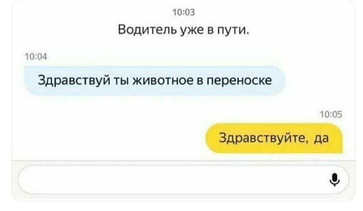 Водитель уже в пути. Здравствуй ты животное в переноске. Здравствуй, да