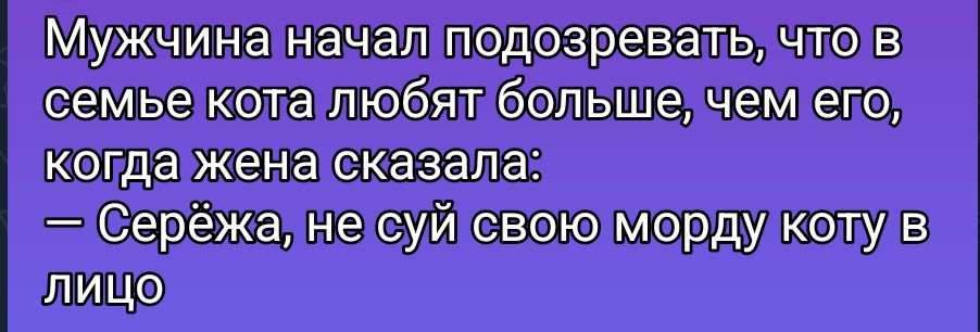Мужчина начал подозревать, что в семье кота любят больше, чем его, когда жена сказала: — Серёжа, не суй свою морду коту в лицо