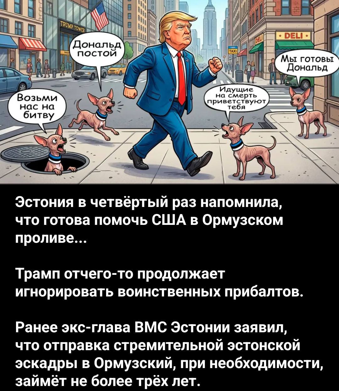 Дональд постой Возьми нас на битву Идущие на смерть приветствуют тебя Мы готовы Дональд Эстония в четвёртый раз напомнила, что готова помочь США в Ормузском проливе... Трамп отчего-то продолжает игнорировать воинственных прибалтов. Ранее экс-глава ВМС Эстонии заявил, что отправка стремительной эстонской эскадры в Ормузский, при необходимости,