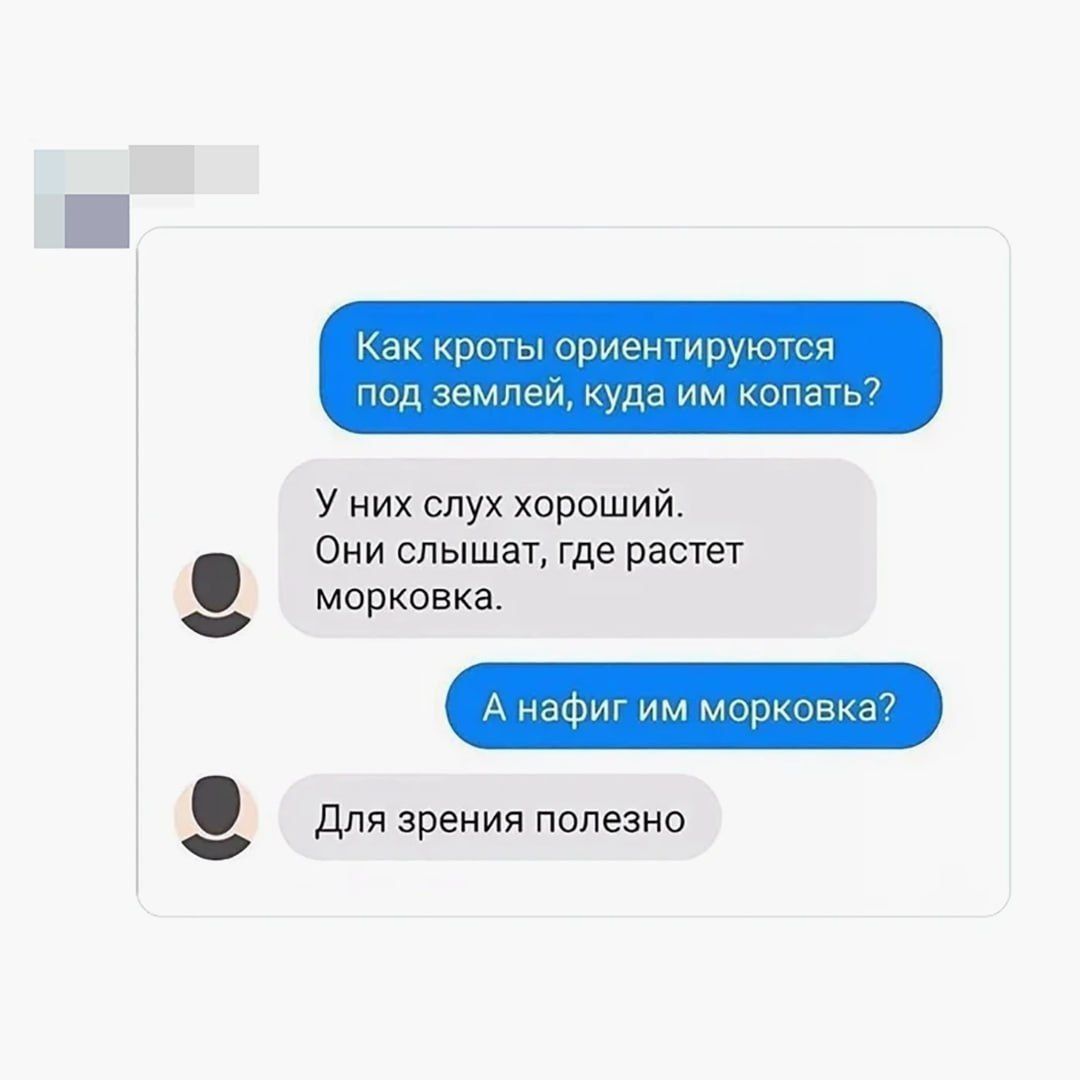 Как кроты ориентируются под землей, куда им копать? У них слух хороший. Они слышат, где растет морковка. А нафиг им морковка? Для зрения полезно