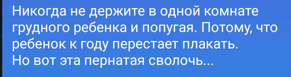 Никогда не держите в одной комнате грудного ребенка и попугая. Потому, что ребенок к году перестает плакать. Но вот эта пернатая сволочь...