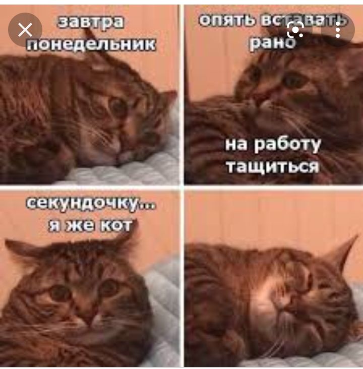 тащиться