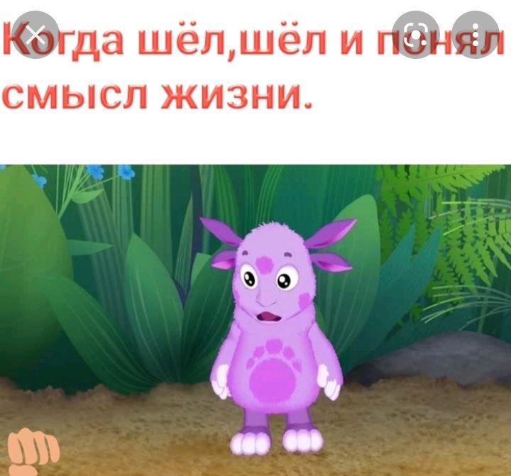 да шёлшёл и смысл жизни