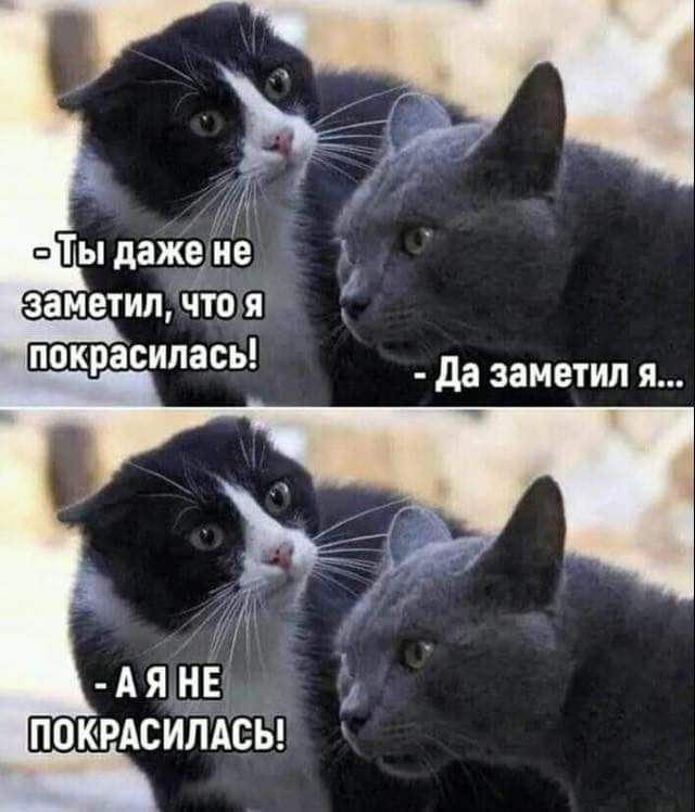 1 Ты дажедие заметил Чтоя покрасилась да заметил я ПОКРАСИЙАСЪ