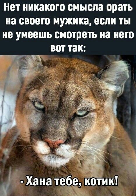 Нет никакого смысла орать на своего мужика если ты не умеешь смотреть на него вот так