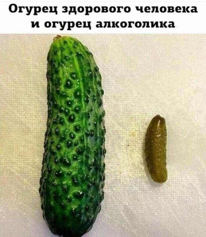 Огурец здорового человека и огурец алкоголика