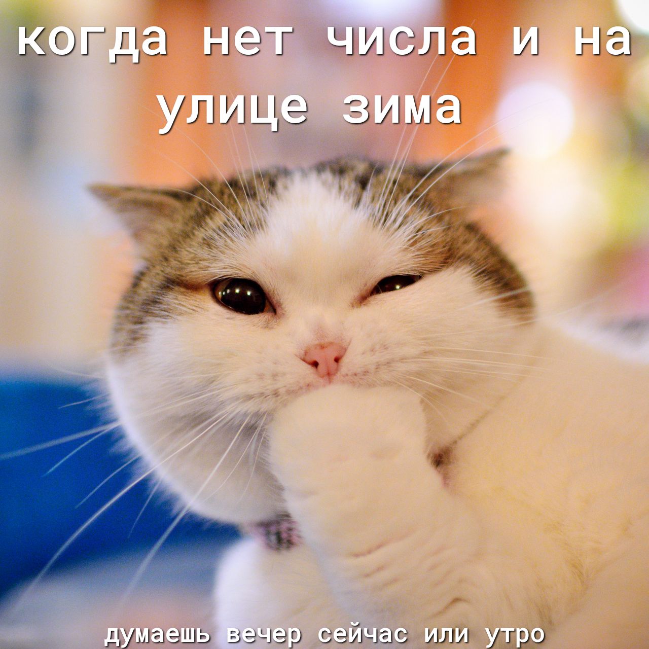 _ А __ думаешь вечер сеичас _шш