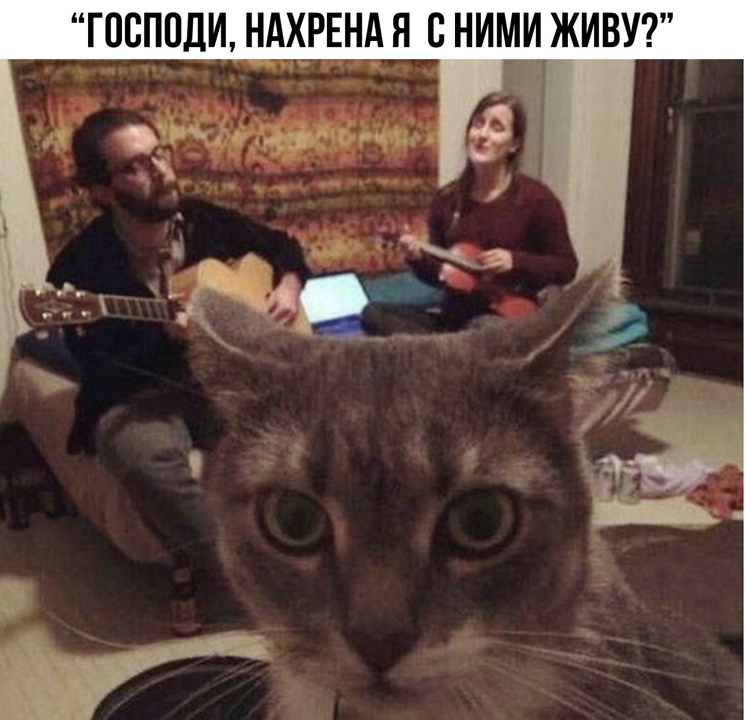 ГОВПОДИ НАХРЕНА Я В НИМИ ЖИВУ
