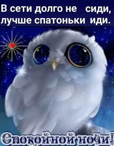 В сети долго не сиди лучше спатоньки иди