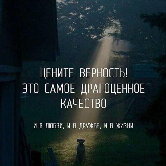 Цените в это самое кач и в любви, и , и в жизни
