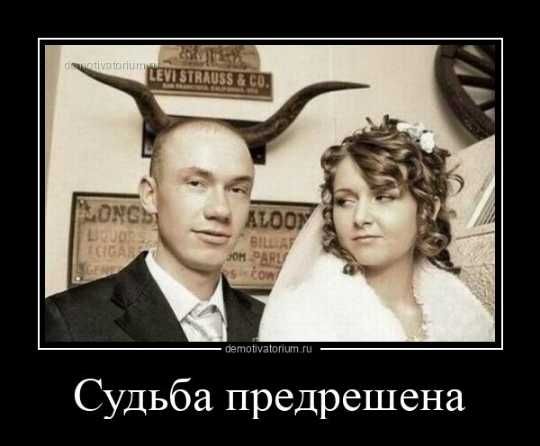 Судьба предрешена