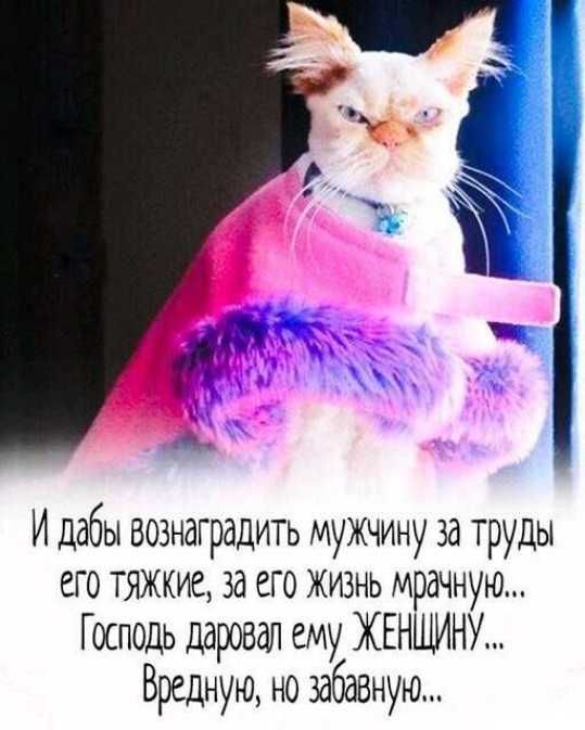 И дабы вознаградить мужчину за труды его тяжкие за его жизнь мрачную Господь даровал ему ЖЕНЩИНУ Вредную но забавную