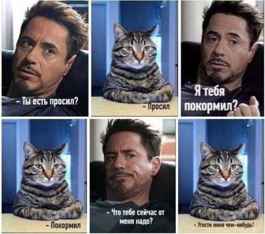 Ппиприип