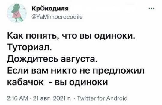 Крбкопиля УаМНПосгососШе Как понять что вы одиноки Туториал Дождитесь августа Если вам никто не предложил кабачок вы одиноки 216 АМ 21 авг 2021 г Тилпег Гог Апагоікі