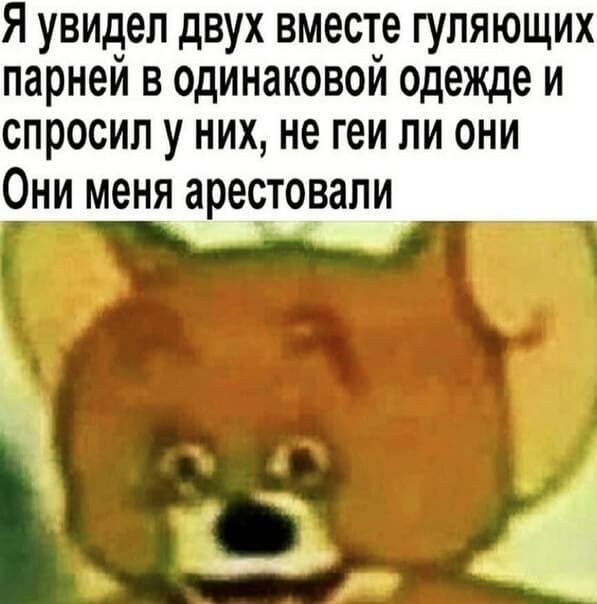 Я увидел двух вместуе гуляющих парнем в одинаковои одежде и спросил у них не геи ли они Они меня арестовали