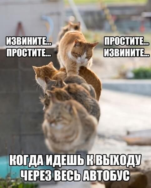 ЮЕдд ИдЕЩЬ ВЪПШдУ ЧЕРЕЗ ВЕСЬ Автотю
