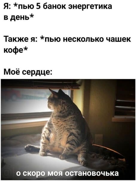 Я пью 5 банок энергетика в день Также я пью несколько чашек кофе Моё сердце О СКОРО ООТЗНОВОЧЬКЗ