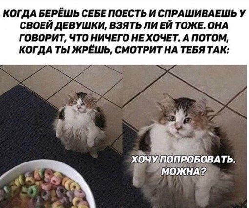 КОГДА БЕРЁШЬ СЕБЕ ПОЕСТЬ И СПРАШИВАЕШЬ У СВОЕЙ ЛЕВУШКШ ВЗЯТЬ ЛИ ЕЙ ТОЖЕ ОНА Г ОВОРИТ ЧТО НИЧЕГО НЕ ХОЧЕТ А ПОТОМ КОГ дА ТЫЖРЁШЬ СМОТРИТНА ТЕБЯ ТАК