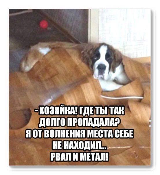 і _ ШЗЯШШ ГДЕ ТЫ ПШ долго пгоппдппдр Я от воли МЕСТА сш ипкодип __ РШШ И МЕПШ