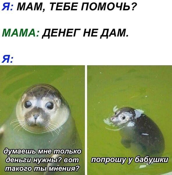 Я МАМ ТЕБЕ ПОМОЧЬ МАМА ДЕНЕГ НЕ ДАМ думаешь мнетопько деньги нужны вот попрошу у баёишки такого ты мнения 4