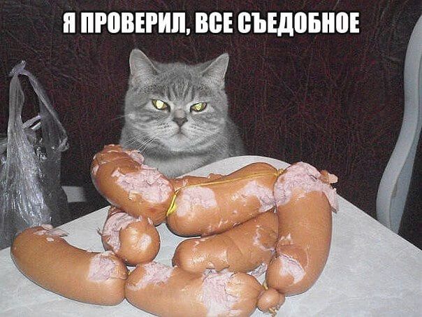н ЮВЕРИП В ВЪЕДВБНПЕ