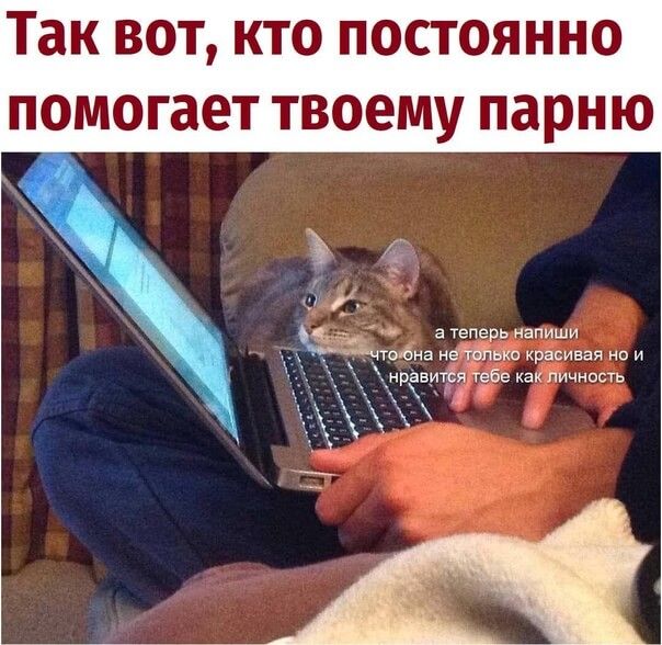 Так вот кто постоянно помогает твоему парню