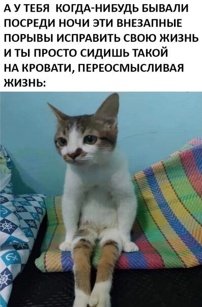 А У ТЕБЯ КОГДА НИБУДЬ БЫВАЛИ ПОСРЕДИ НОЧИ ЭТИ ВНЕЗАПНЫЕ ПОРЫВЫ ИСПРАВИТЬ СВОЮ ЖИЗНЬ И ТЫ ПРОСТО СИДИШЬ ТАКОЙ НА КРОВАТИ ПЕРЕОСМЫСПИВАЯ ЖИЗНЬ