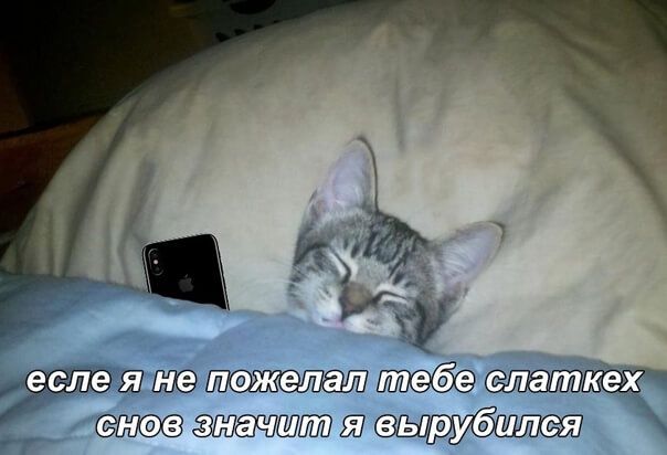 тыл Мита
