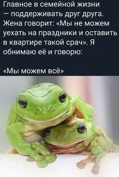Главное в семейной жизни поддерживать друг друга Жена говорит Мы не можем уехать на праздники и оставить в квартире такой срач Я обнимаю её и говорю Мы можем всё