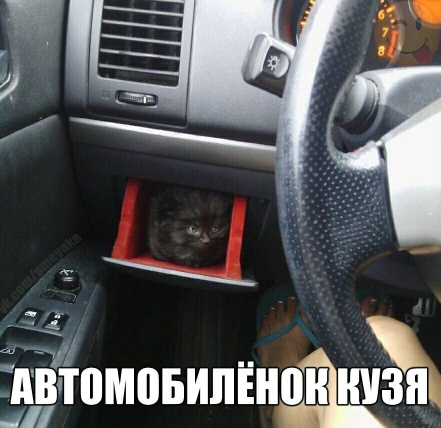 д томовилвноан шиза