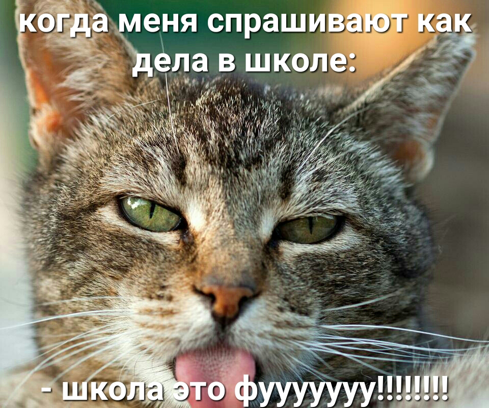 НЯ СПРЭШИВЗЮТ ка ела в школе 3