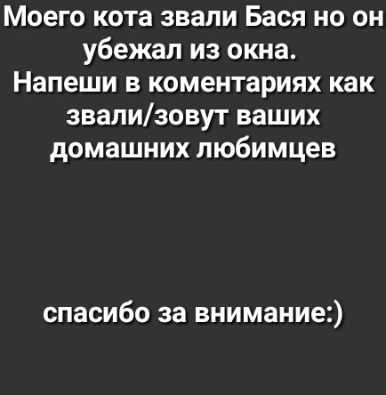 Моего кота звали Бася но он убежал из окна Напеши в коментариях как звализовут ваших домашних любимцев спасибо за внимание