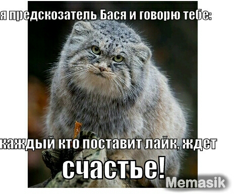 я Шедснозатеп 35 и ювопю теша
