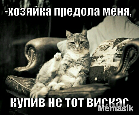 Х03ЁИН8 ППВДВПЗ МЕНЯ ііііііИВ не Т ВЩЩЁЁк