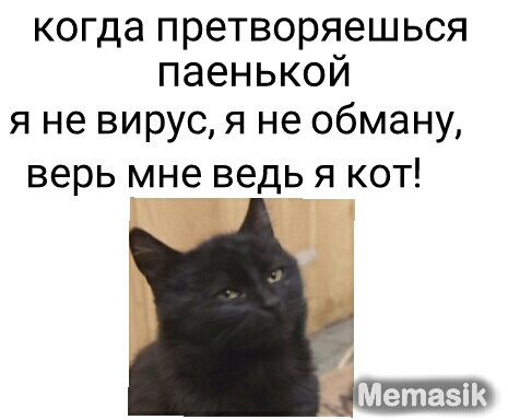 когда претворяешься паенькой яневиршцянеобманм верь мне ведь я кот