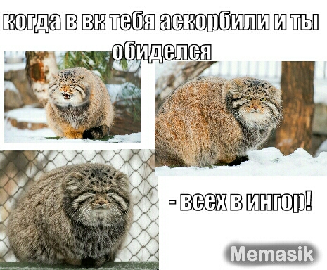В