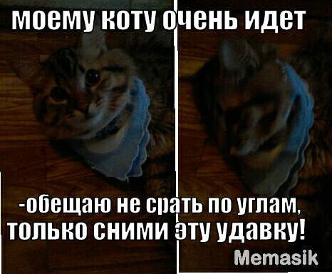 МПВМУ НПП ПЧВНЬ идет ШВЩЯЮ не спать ПП ШПЯМ Т0ПЬН0 СНИМИ ЗП дави Метазік