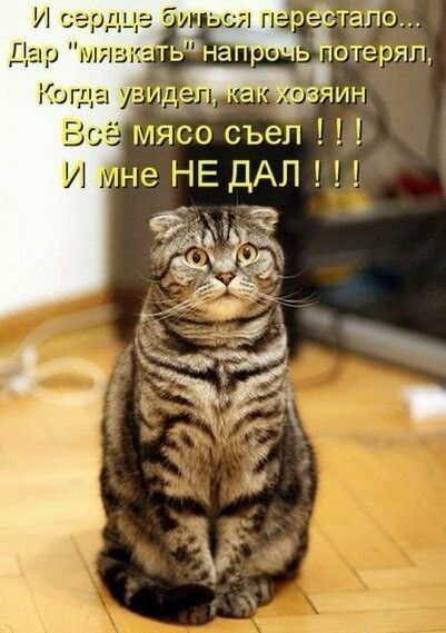 отеряп яин іне НЕ ДАЛ Ф