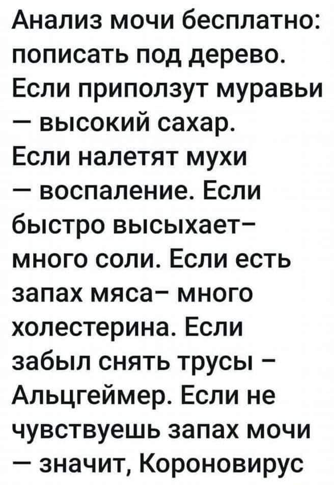 Анализ мочи бесплатно пописать под дерево Если приползут муравьи высокий сахар Если налетят мухи воспаление Если быстро высыхает много соли Если есть запах мяса много холестерина Если забыл снять трусы Альцгеймер Если не чувствуешь запах мочи значит Короновирус