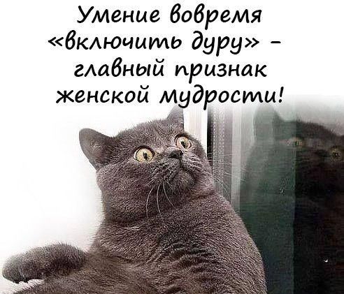 Умение вовремя ЗКючиидо дуру глабный признак женской мудрости